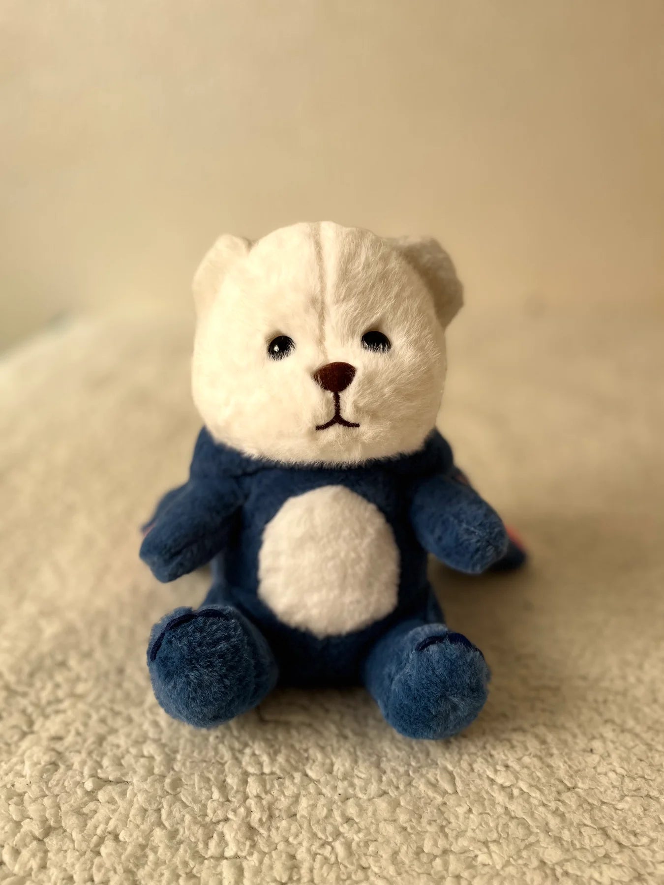 Oem Ours Masolu diffèrent couleurs